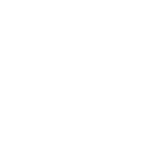 Apple Store Logo